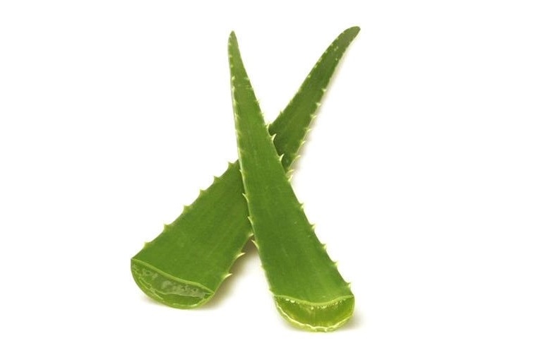 Aloe vera gél hatása IBD, IBS és reflux esetén