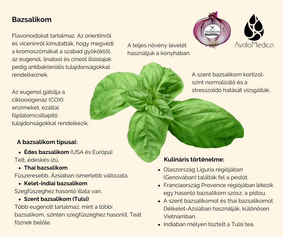 Gyógynövények és fűszerek – A bazsalikom
