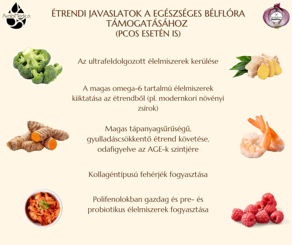 A PCOS és a bélflóra összefüggései