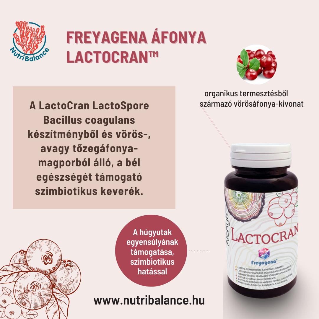 Freyagena Áfonya Lactocran™